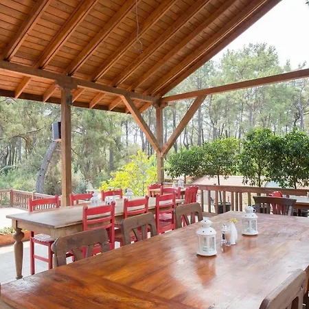Olympos Village Hotel Kumluca
