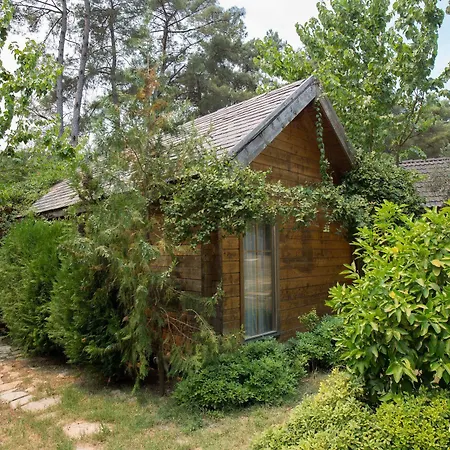 Olympos Village 2*