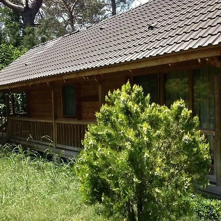 Hotel Olympos Village